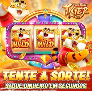 Programa VIP exclusivo da 82kk